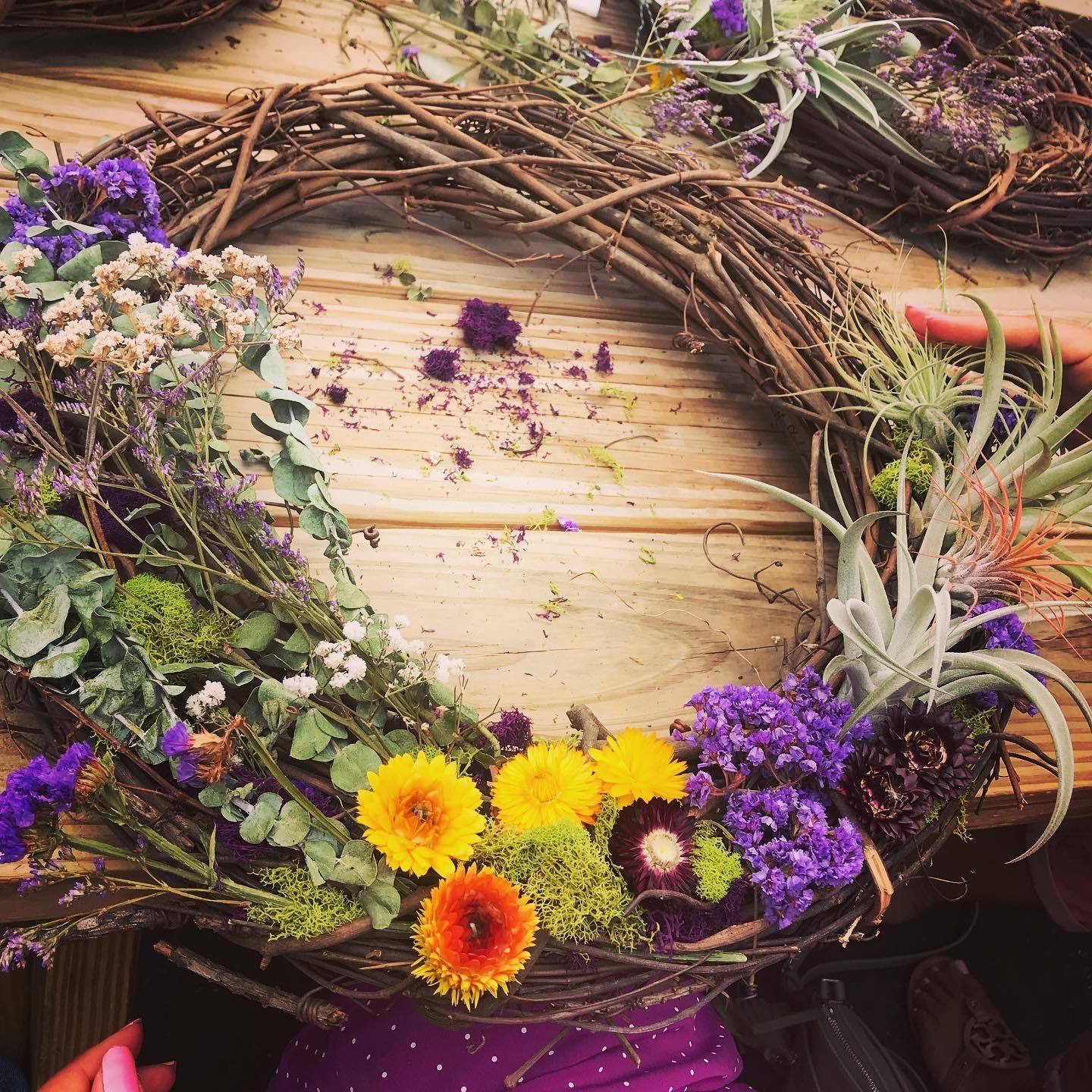 Patchwork Presents Air Plant Wreaths Craft Workshop image 1
